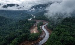 Aerial view of a highway through forest, highlighting environmental impact.